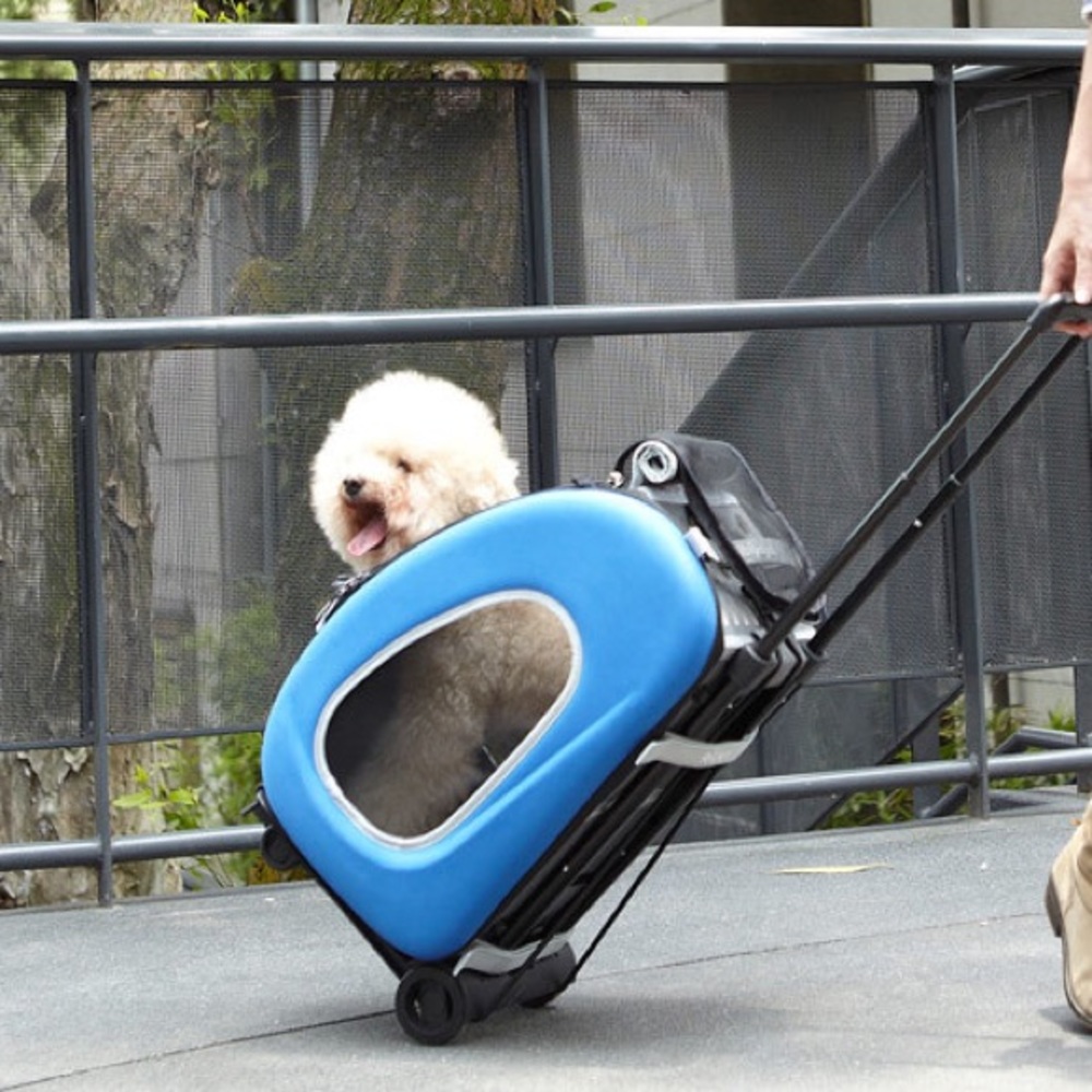 Pet carrier! 🐱🐶 IBIYAYA EVA 4 in 1 CARRIER